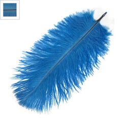 Φτερό Στρουθοκαμήλου (~15-20cm) - Μπλε ΚΩΔ:77050022.007-NG