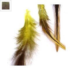Φτερό ~12-15cm - Πράσινο/Λαδί ΚΩΔ:77050023.002-NG
