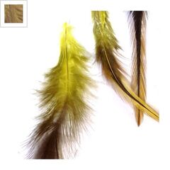 Φτερό ~12-15cm - Κίτρινο/Καφέ ΚΩΔ:77050023.003-NG
