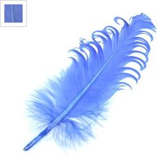 Φτερό ~15-20cm - Μπλε Ανοιχτό ΚΩΔ:77050028.001-NG